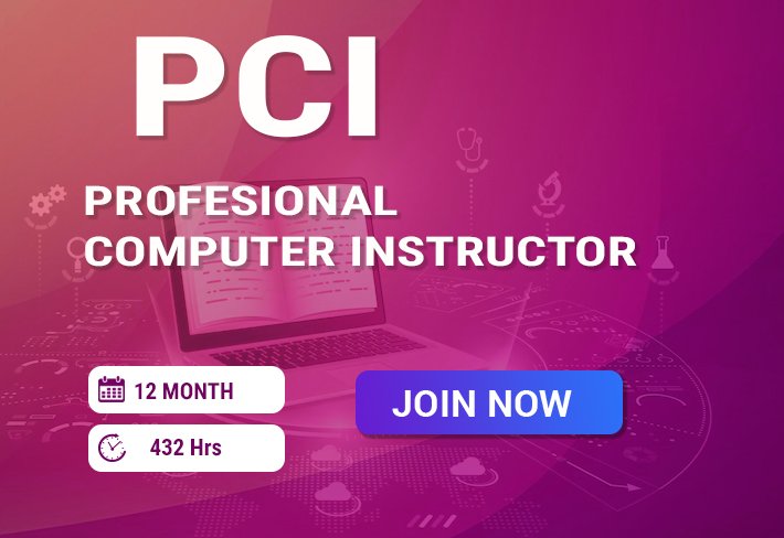 Professional Computer Instructor