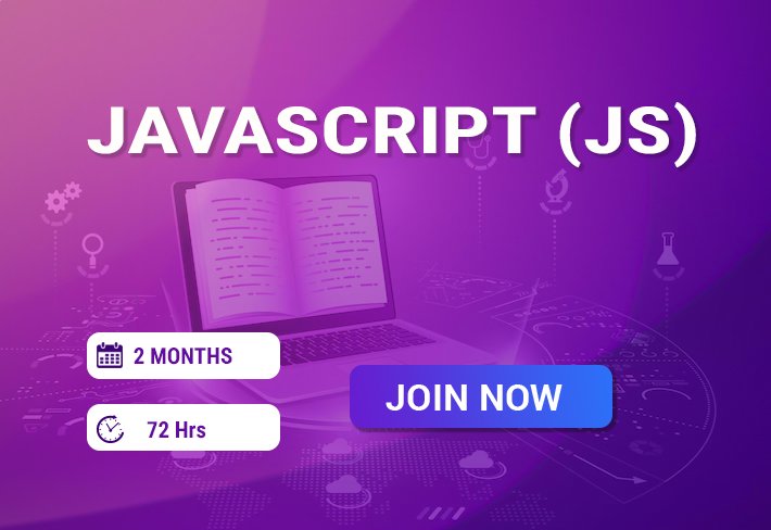JavaScript (JS)